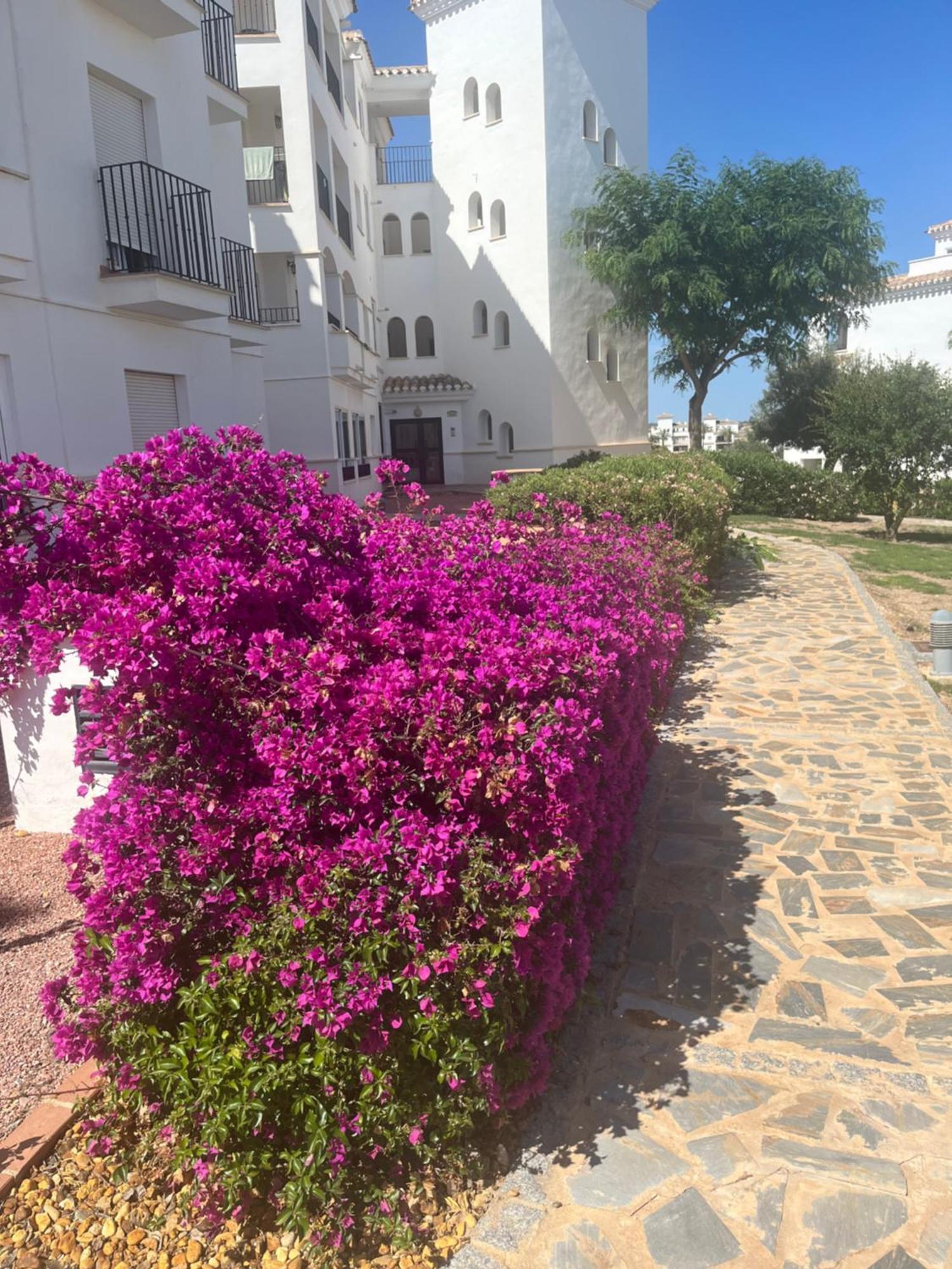 La Casa Rosita, Hacienda Riquelme Golf Resort Sucina Murcia Bagian luar foto